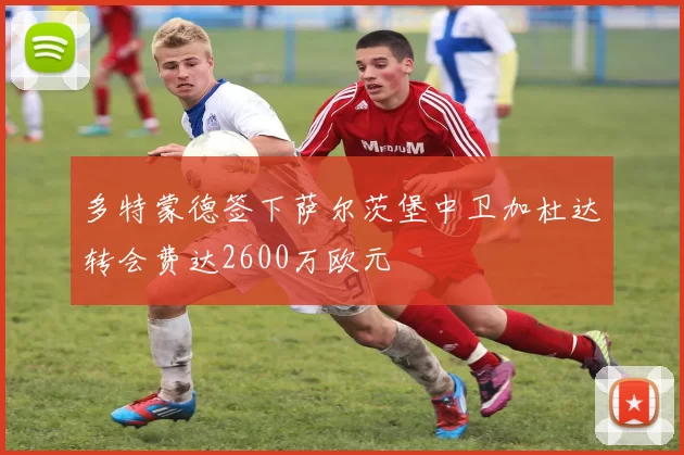 多特蒙德签下萨尔茨堡中卫加杜达转会费达2600万欧元