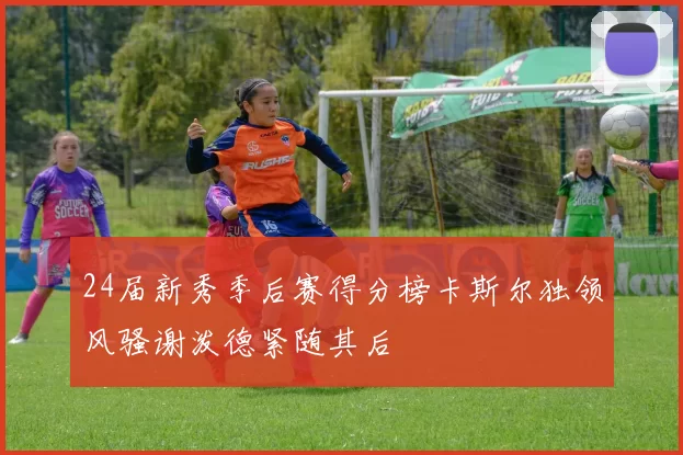24届新秀季后赛得分榜卡斯尔独领风骚谢泼德紧随其后