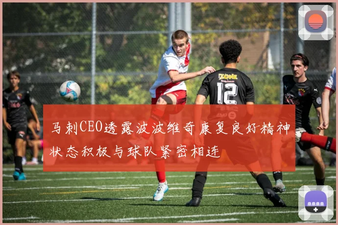 马刺CEO透露波波维奇康复良好精神状态积极与球队紧密相连
