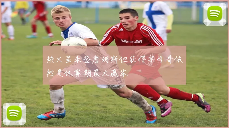 热火虽未签詹姆斯但获得字母哥依然是休赛期最大赢家