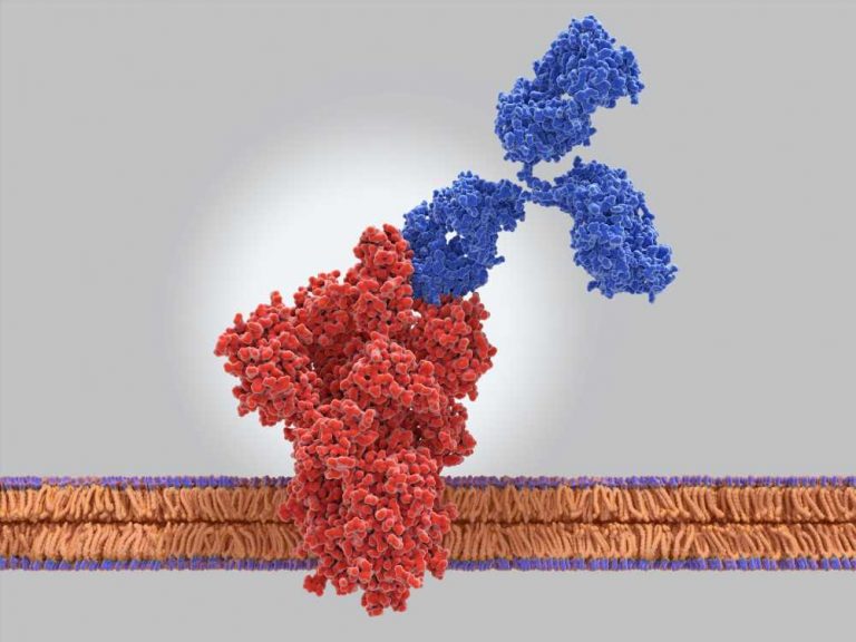 Omicron spike N679K mutation acts as a loss-of-function mutation ...